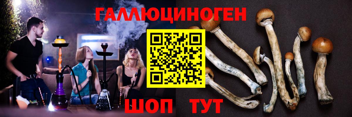 Галлюциногенные грибы Psilocybe  Вход с VPN  где продают   Большой Камень  Псилоцибиновые грибы Cubensis 