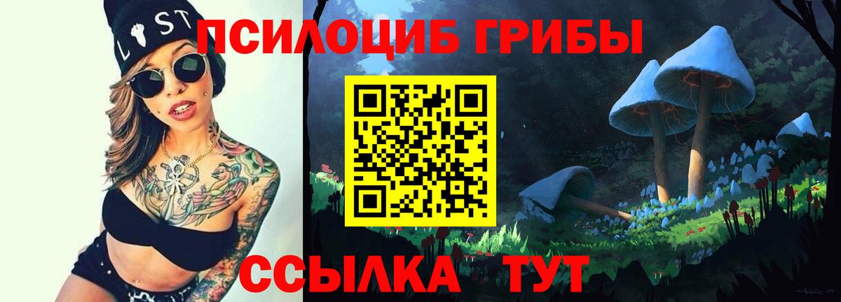 Галлюциногенные грибы Psilocybine cubensis Большой Камень